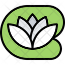 پیش‌نمایش فایل lotus-flower-5906358 از پک طبیعت