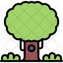 پیش‌نمایش فایل tree-5906352 از پک طبیعت