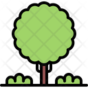 پیش‌نمایش فایل tree-5906356 از پک طبیعت
