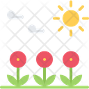 پیش‌نمایش فایل blossom-5906513 از پک طبیعت