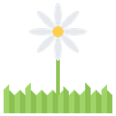 پیش‌نمایش فایل flower-5906484 از پک طبیعت