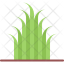 پیش‌نمایش فایل green-grass-5906509 از پک طبیعت