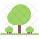 پیش‌نمایش فایل tree-5906483 از پک طبیعت