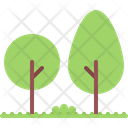 پیش‌نمایش فایل tree-5906511 از پک طبیعت