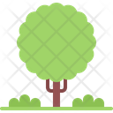 پیش‌نمایش فایل tree-5906521 از پک طبیعت