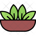 پیش‌نمایش فایل tea-leaf-plate-5931858 از پک چای