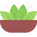 پیش‌نمایش فایل tea-leaf-plate-5931971 از پک چای