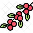 پیش‌نمایش فایل coffee-branch-5932093 از پک قهوه