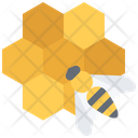 پیش‌نمایش فایل honeycomb-5923267 از پک زنبورداری