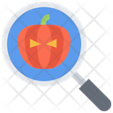 پیش‌نمایش فایل pumpkin-location-5924332 از پک هالووین