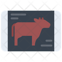 پیش‌نمایش فایل cow-5934748 از پک گوشت