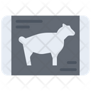 پیش‌نمایش فایل mutton-5934719 از پک گوشت