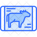 پیش‌نمایش فایل cow-5934650 از پک گوشت