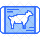 پیش‌نمایش فایل mutton-5934671 از پک گوشت