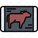 پیش‌نمایش فایل cow-5934646 از پک گوشت