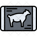 پیش‌نمایش فایل mutton-5934617 از پک گوشت