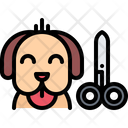 پیش‌نمایش فایل dog-haircut-5917837 از پک نمایش سگ
