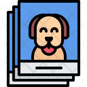 پیش‌نمایش فایل dog-photo-5917841 از پک نمایش سگ