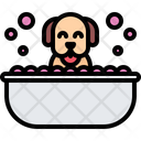 پیش‌نمایش فایل dog-wash-5917842 از پک نمایش سگ