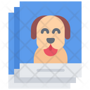 پیش‌نمایش فایل dog-photo-5917938 از پک نمایش سگ