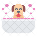 پیش‌نمایش فایل dog-wash-5917939 از پک نمایش سگ