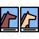 پیش‌نمایش فایل horse-photo-5918009 از پک اصطبل