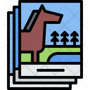 پیش‌نمایش فایل horse-photo-5918041 از پک اصطبل