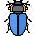 پیش‌نمایش فایل beetle-5923552 از پک سوسک‌ها