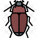 پیش‌نمایش فایل beetle-5923553 از پک سوسک‌ها