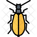 پیش‌نمایش فایل beetle-5923555 از پک سوسک‌ها