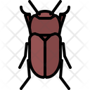 پیش‌نمایش فایل beetle-5923562 از پک سوسک‌ها