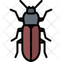پیش‌نمایش فایل beetle-5923563 از پک سوسک‌ها