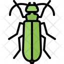 پیش‌نمایش فایل beetle-5923565 از پک سوسک‌ها