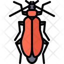 پیش‌نمایش فایل beetle-5923567 از پک سوسک‌ها