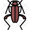پیش‌نمایش فایل beetle-5923568 از پک سوسک‌ها