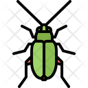 پیش‌نمایش فایل beetle-5923572 از پک سوسک‌ها