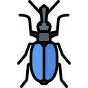 پیش‌نمایش فایل beetle-5923577 از پک سوسک‌ها