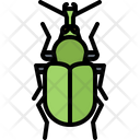 پیش‌نمایش فایل beetle-5923578 از پک سوسک‌ها