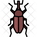 پیش‌نمایش فایل beetle-5923581 از پک سوسک‌ها