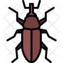 پیش‌نمایش فایل beetle-5923582 از پک سوسک‌ها