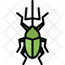 پیش‌نمایش فایل beetle-5923583 از پک سوسک‌ها