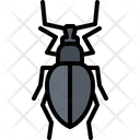 پیش‌نمایش فایل beetle-5923584 از پک سوسک‌ها