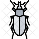 پیش‌نمایش فایل beetle-5923585 از پک سوسک‌ها