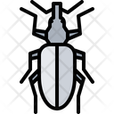 پیش‌نمایش فایل beetle-5923586 از پک سوسک‌ها