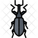 پیش‌نمایش فایل beetle-5923588 از پک سوسک‌ها