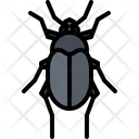 پیش‌نمایش فایل beetle-5923589 از پک سوسک‌ها