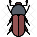 پیش‌نمایش فایل beetle-5923594 از پک سوسک‌ها