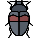 پیش‌نمایش فایل beetle-5923601 از پک سوسک‌ها