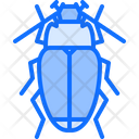 پیش‌نمایش فایل beetle-5923602 از پک سوسک‌ها