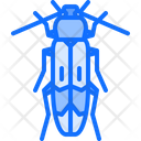 پیش‌نمایش فایل beetle-5923603 از پک سوسک‌ها